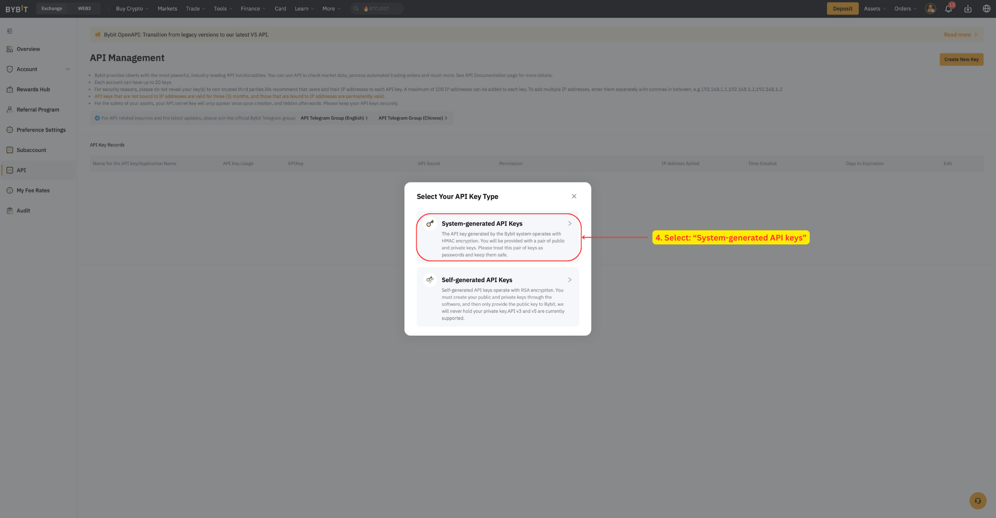 Select System-generated API Keys option