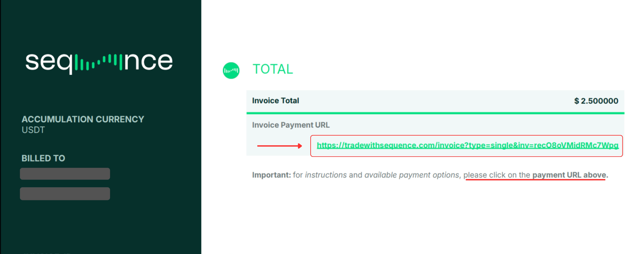 💡 Tip: If the Payment URL shows a line break, be sure to copy the full link before opening it — otherwise, the page won’t load correctly